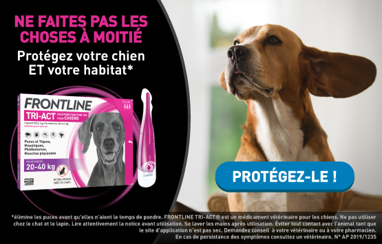 Bannière promotionnelle